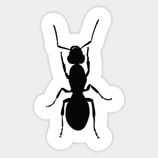 Black Field Ant Queen Sticker